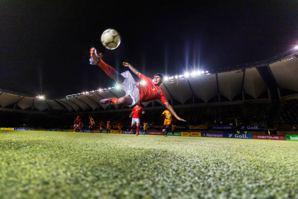 得必要的卫 得必要的卫